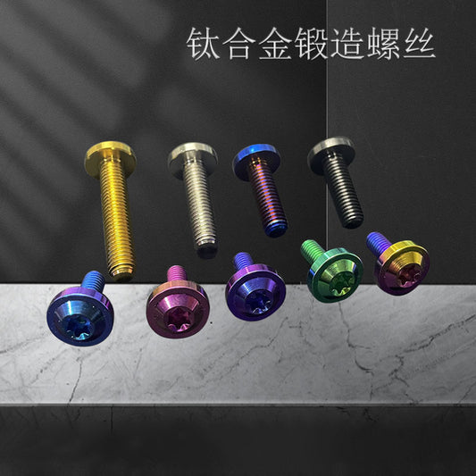 Titanium Alloy M6 Torx Head Screw for Bicycle Modification