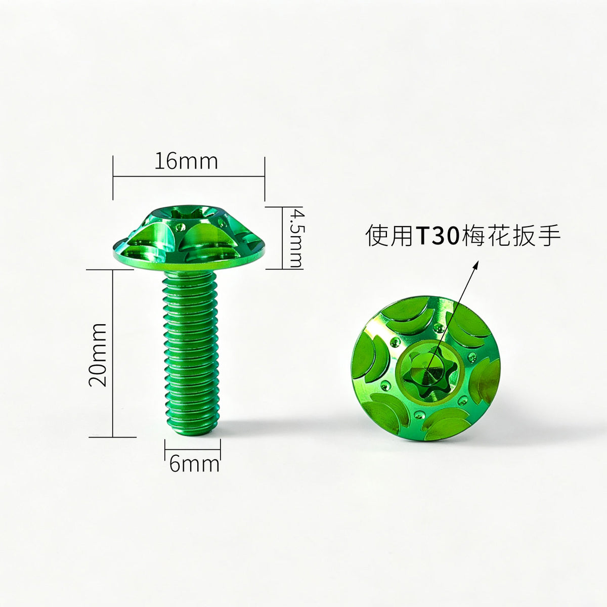 M6 Titanium Bolt  Torx