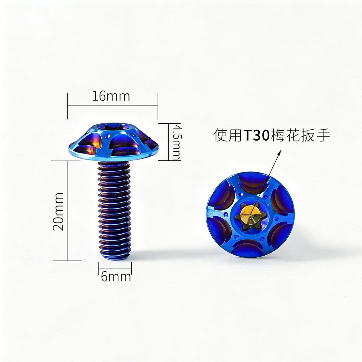 M6 Titanium Bolt  Torx