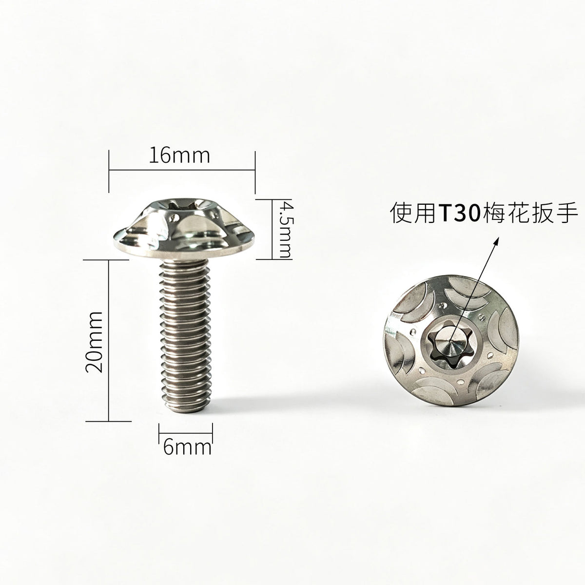 M6 Titanium Bolt  Torx