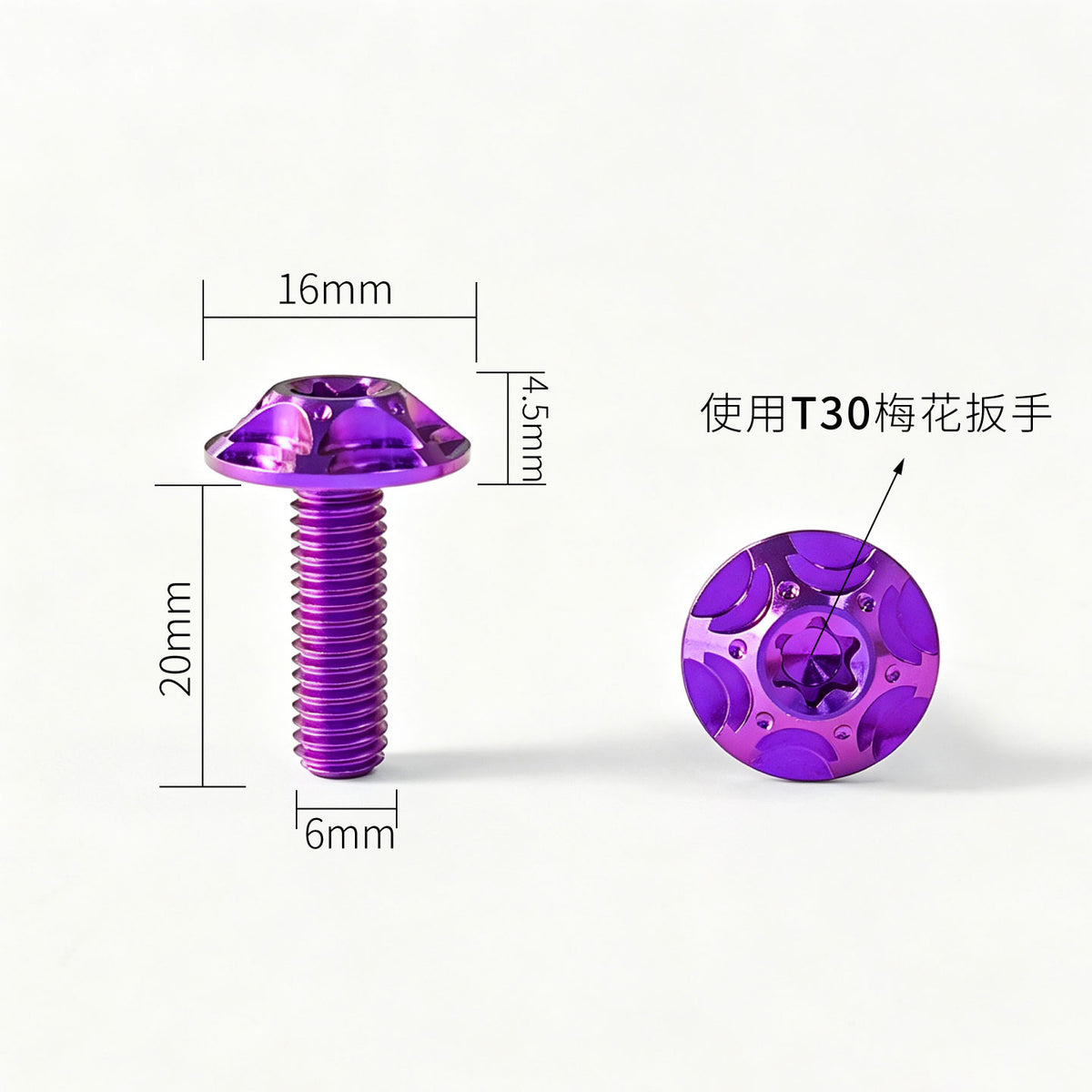 M6 Titanium Bolt  Torx