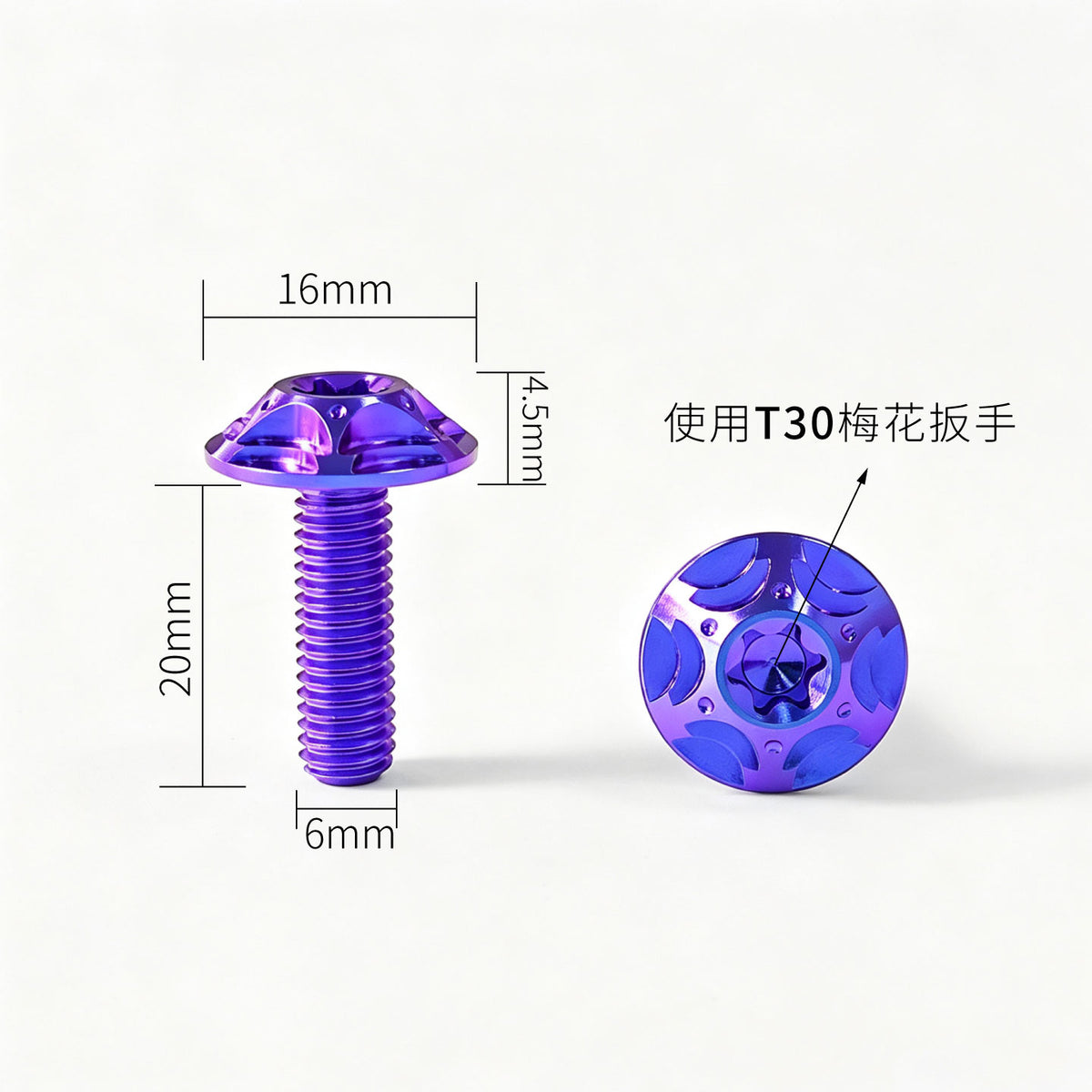 M6 Titanium Bolt  Torx