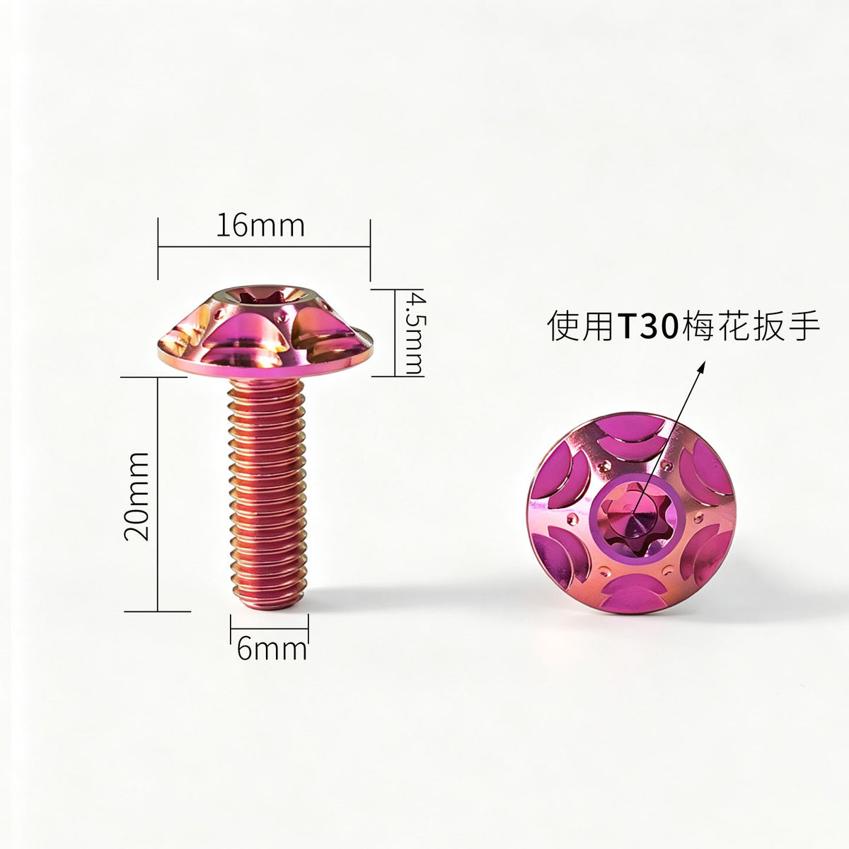M6 Titanium Bolt  Torx