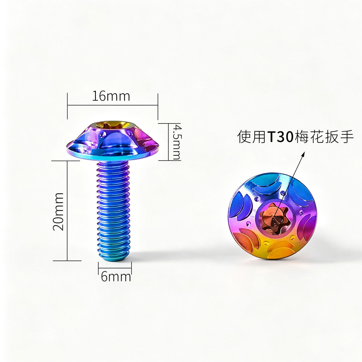 M6 Titanium Bolt  Torx