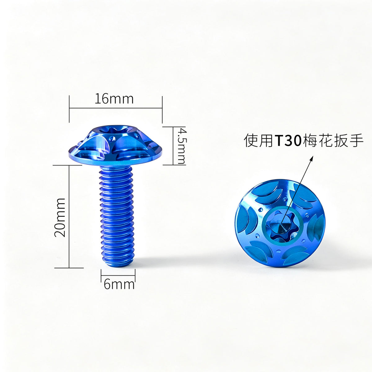 M6 Titanium Bolt  Torx