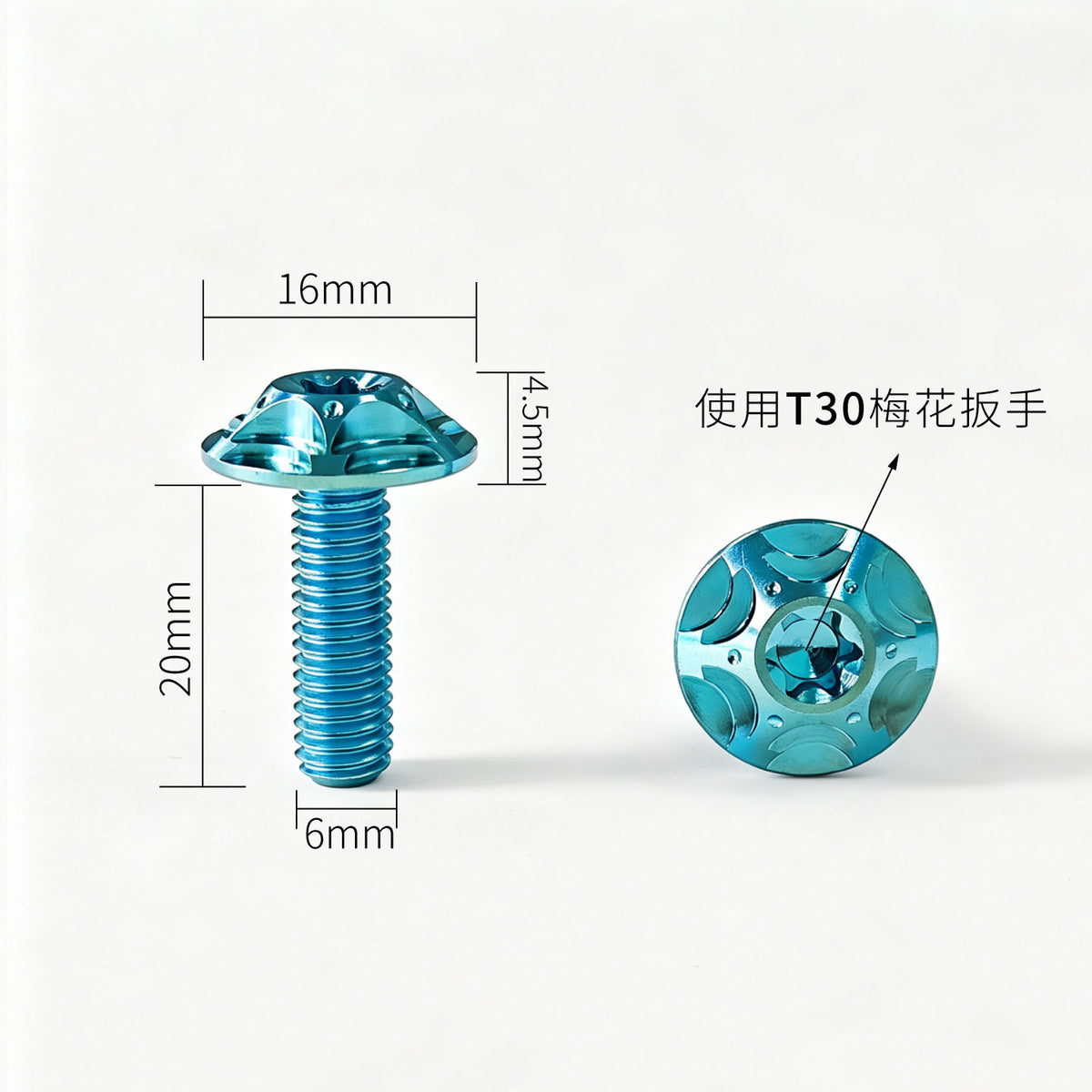 M6 Titanium Bolt  Torx
