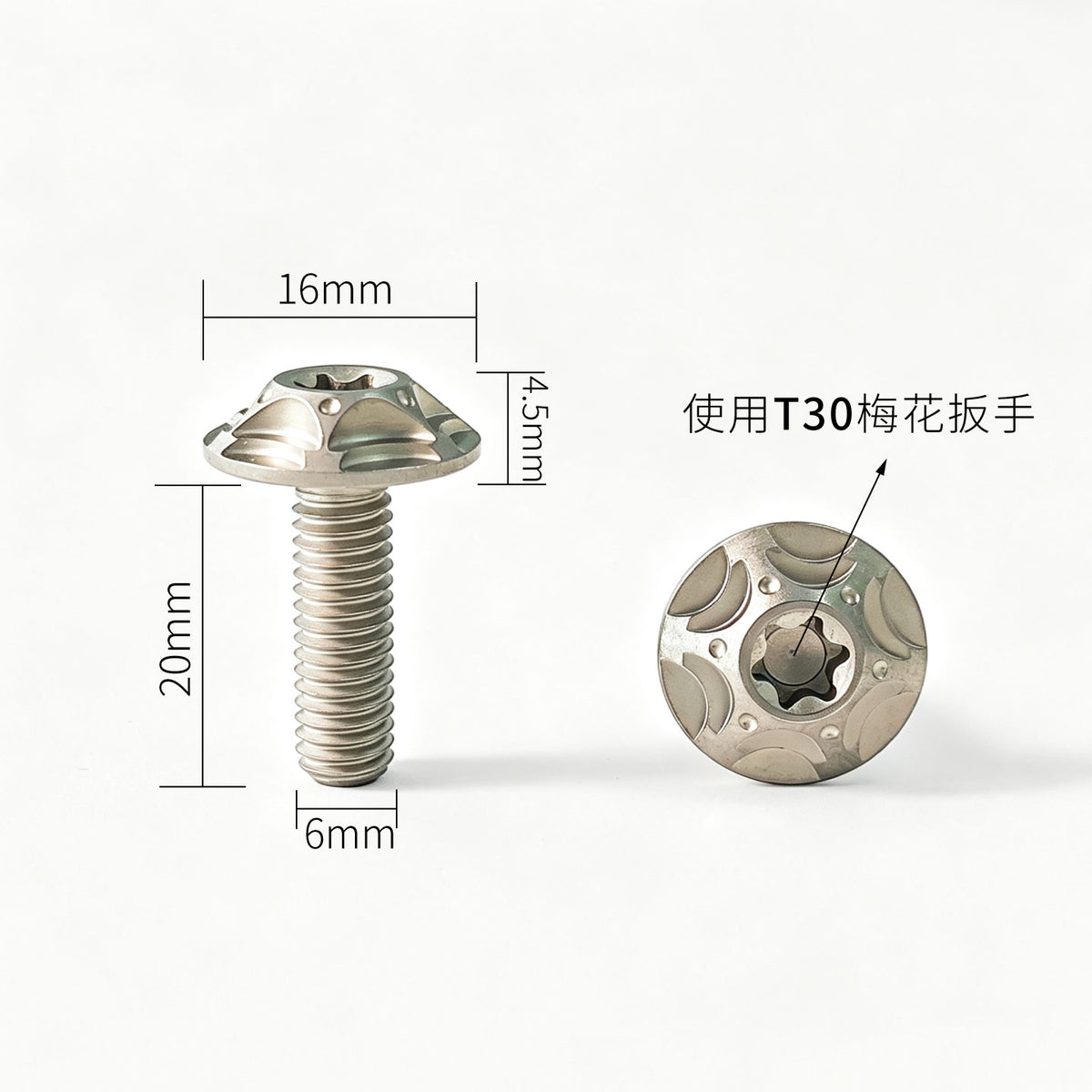 M6 Titanium Bolt  Torx