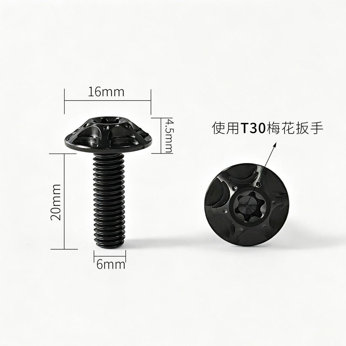 M6 Titanium Bolt  Torx