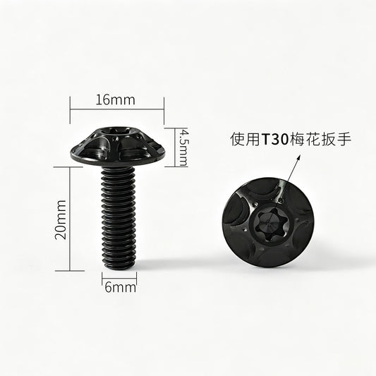 M6 Titanium Bolt  Torx