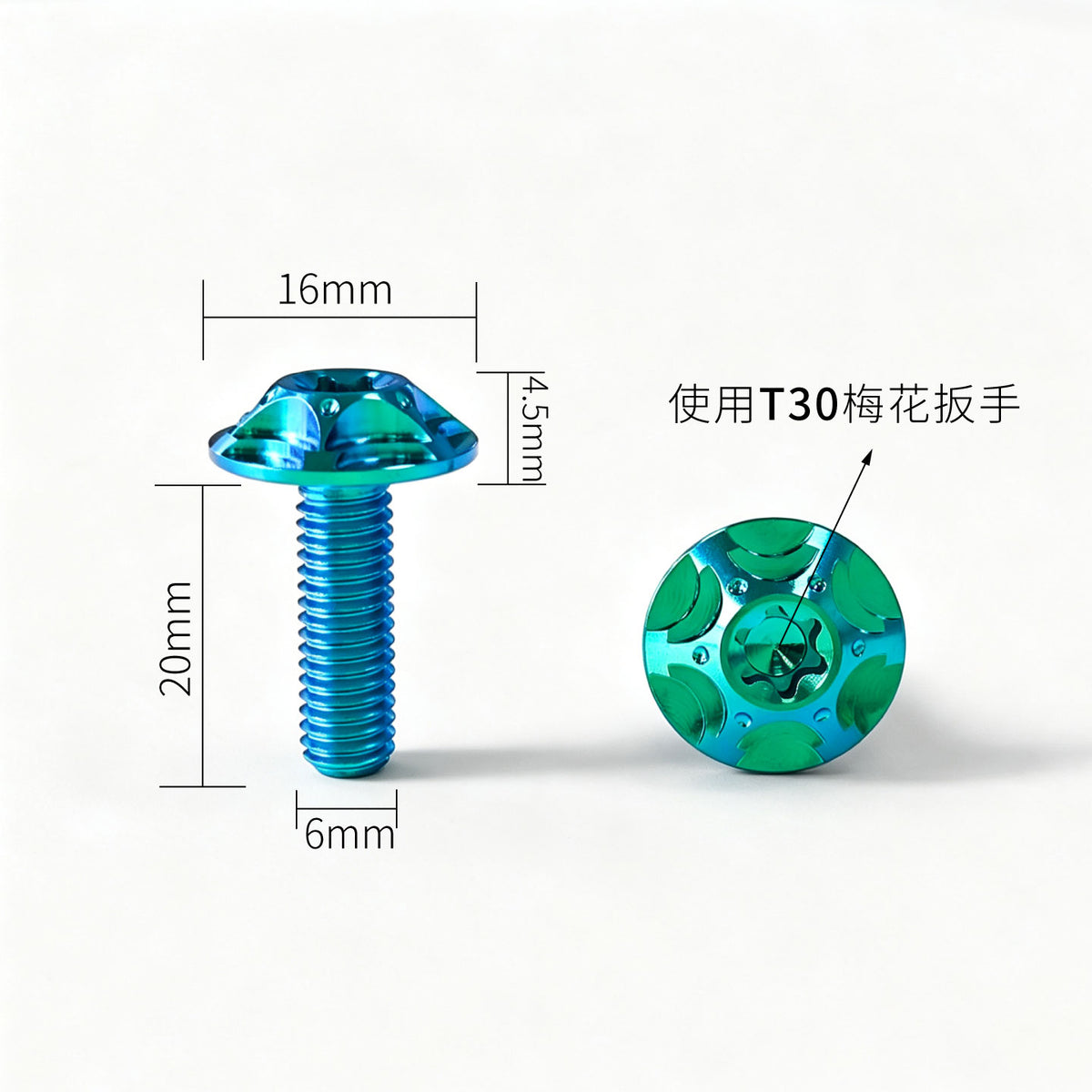 M6 Titanium Bolt  Torx