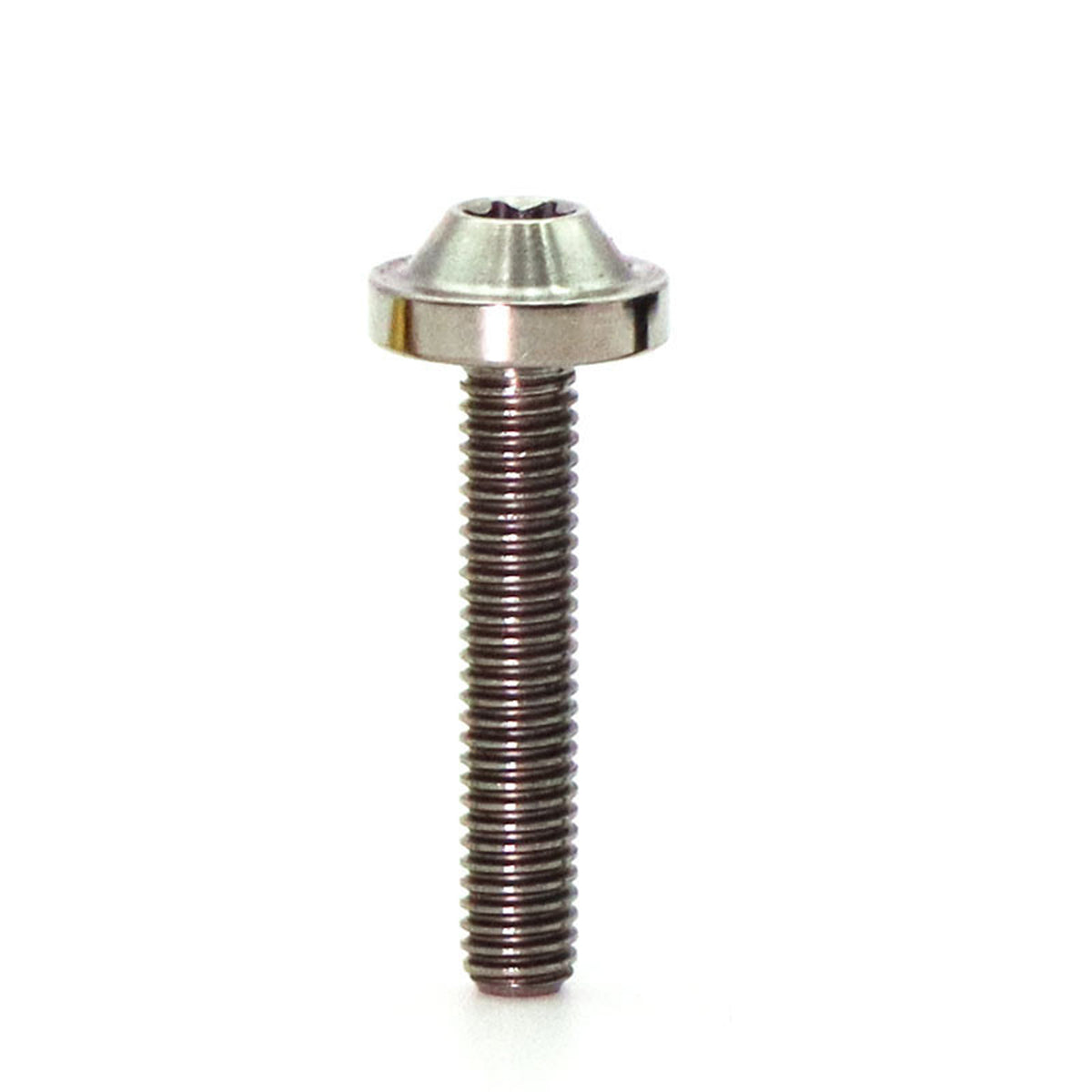 Titanium Alloy M6 Torx Head Screw for Bicycle Modification