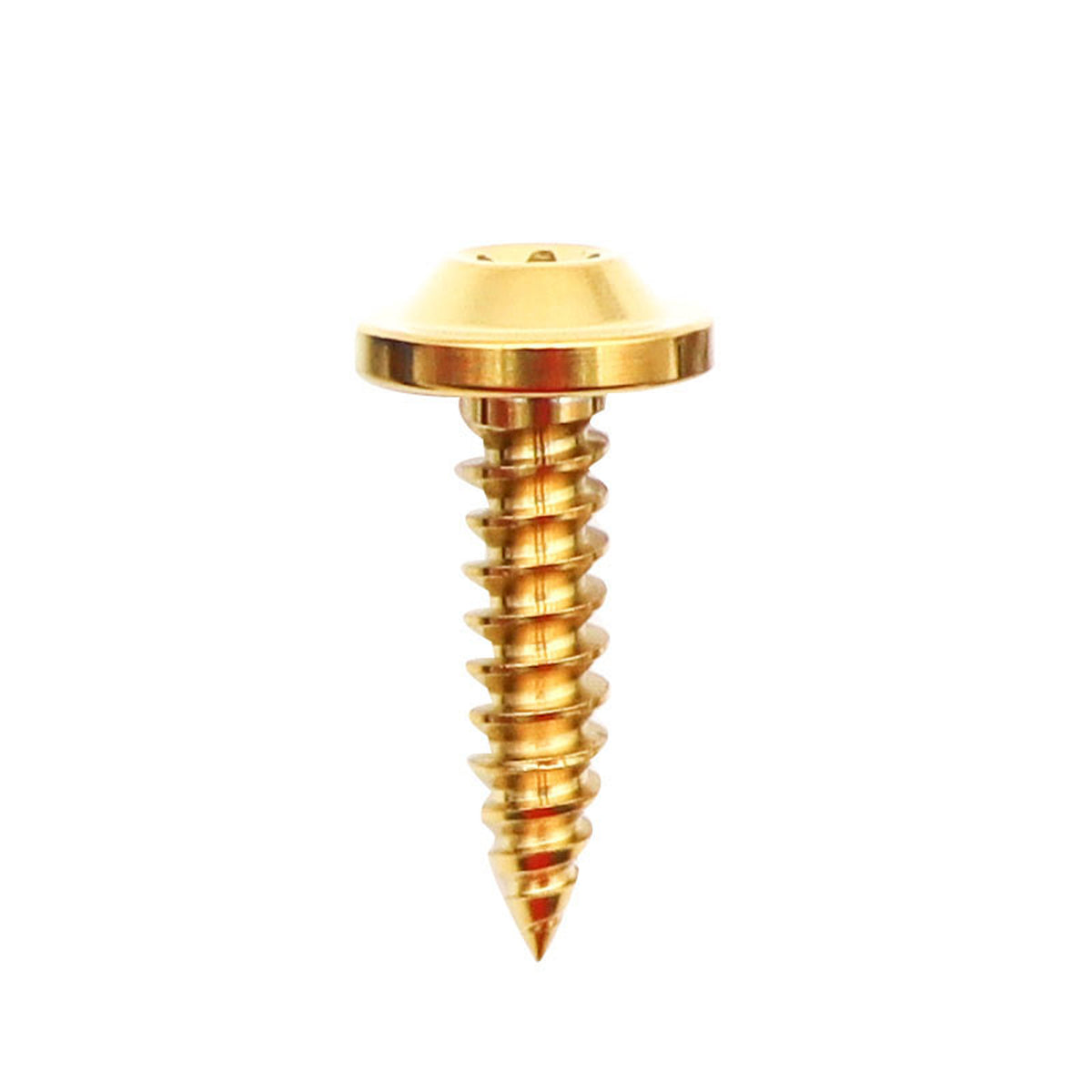 Titanium Self Tapping Screws M4x15mm
