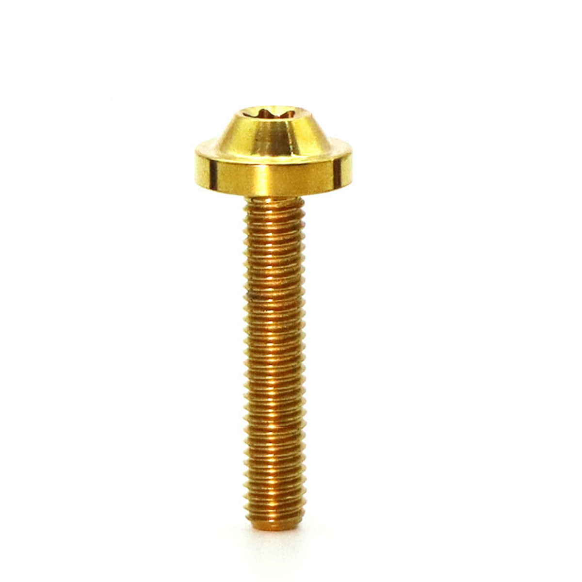 Titanium Alloy M6 Torx Head Screw for Bicycle Modification