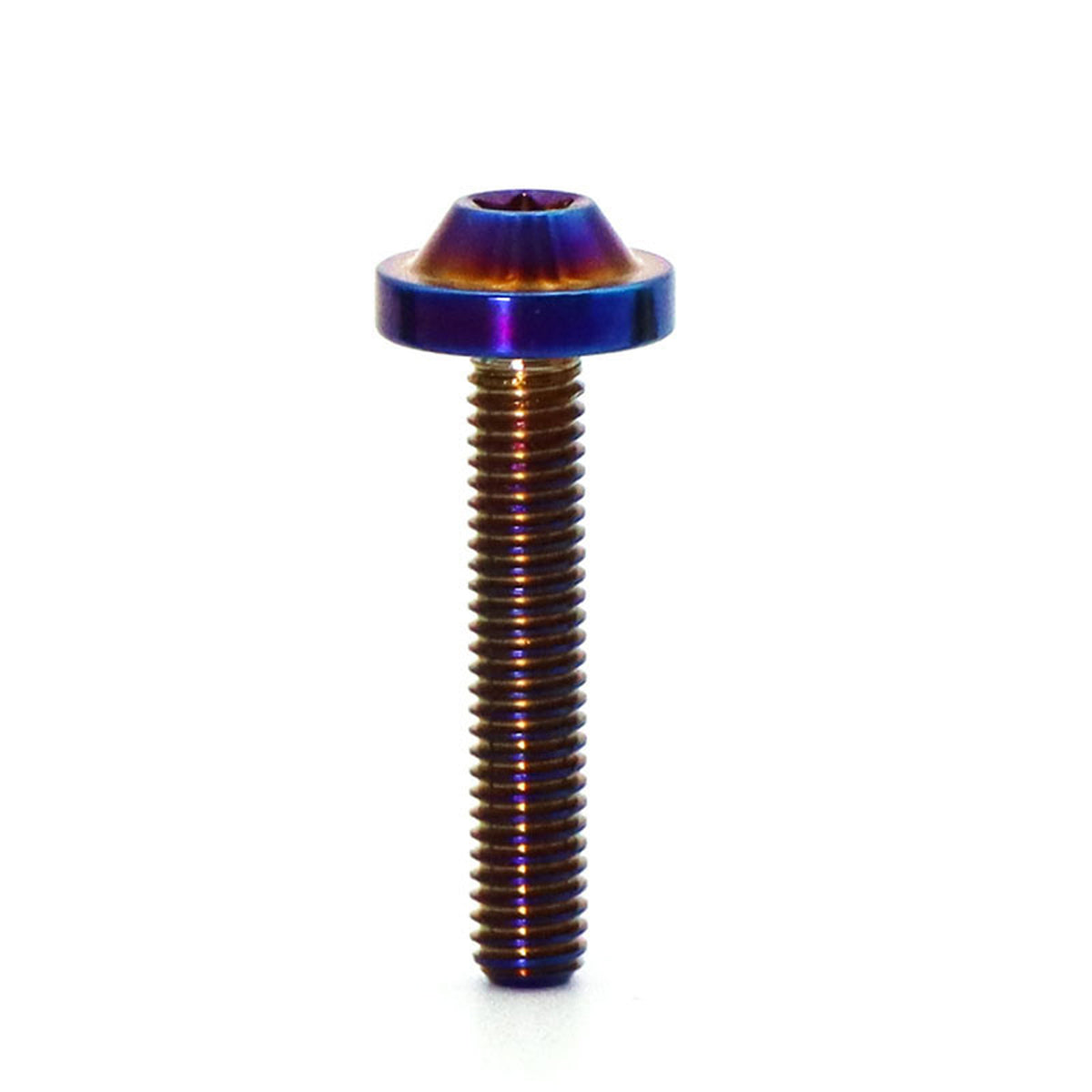 Titanium Alloy M6 Torx Head Screw for Bicycle Modification