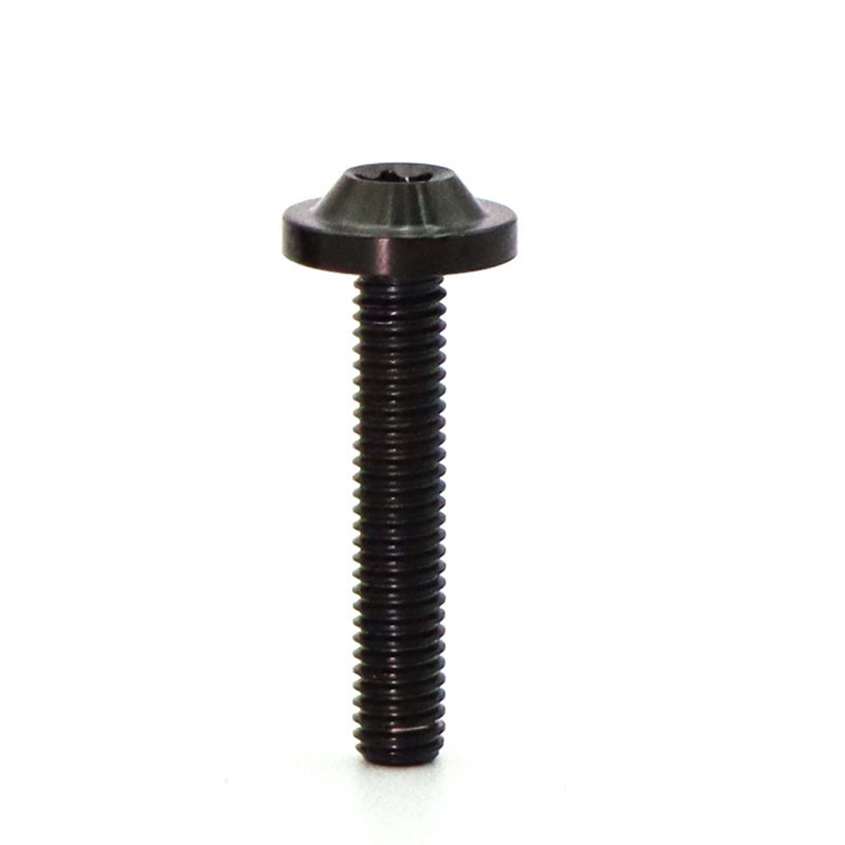 Titanium Alloy M6 Torx Head Screw for Bicycle Modification