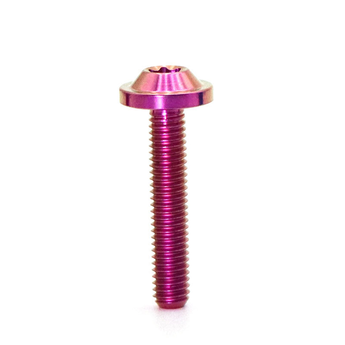 Titanium Alloy M6 Torx Head Screw for Bicycle Modification