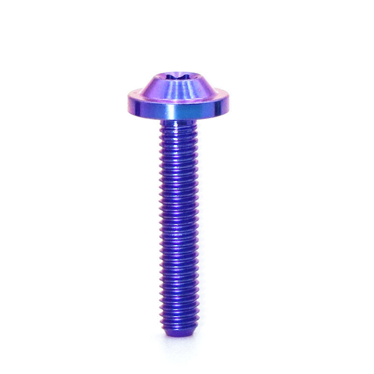 Titanium Alloy M6 Torx Head Screw for Bicycle Modification