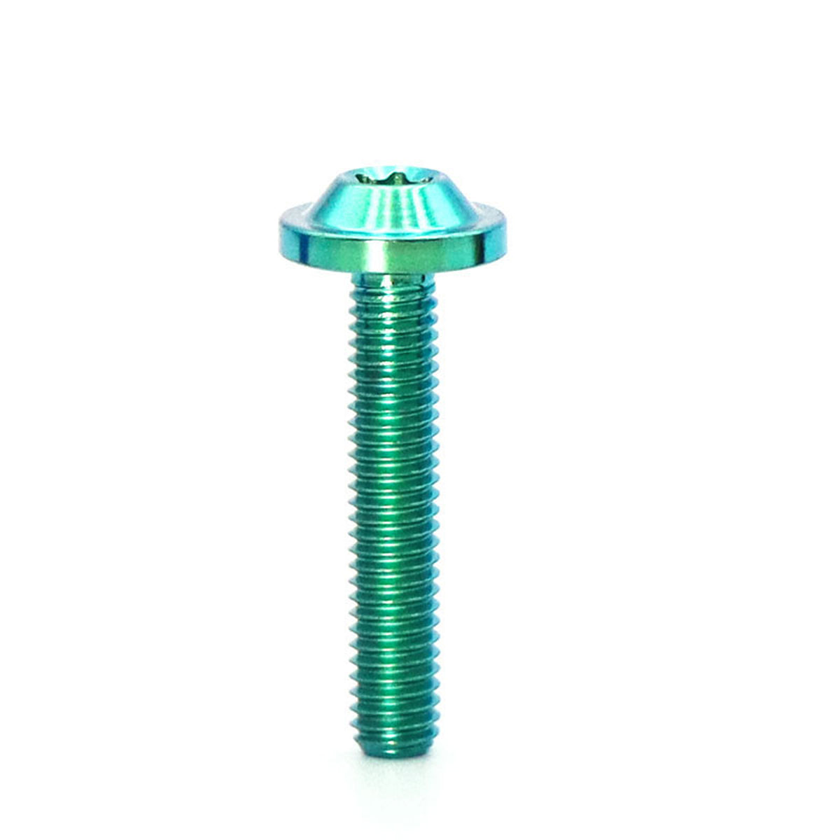 Titanium Alloy M6 Torx Head Screw for Bicycle Modification
